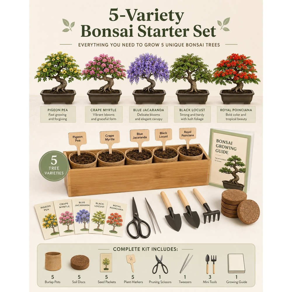 Planters Choice 5 Variety Bonsai Starter Set Garden Kit Beginner Growing Guide